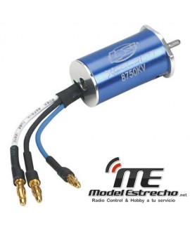 MOTOR 1/36 BRUSHLESS XCELORIN