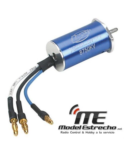 MOTOR 1/36 BRUSHLESS XCELORIN