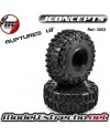 RUPTURES 1.9 PERFORMANCE SCALING TIRE CRAWLER JCONCEPTS 

Ref: 3053-02