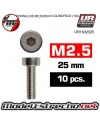 TORNILLOS M2.5x25mm CILINDRICO (10U.) 

Ref: UR1632525