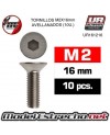 TORNILLOS M2X16MM AVELLANADO

Ref: UR161216