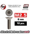 TORNILLOS M2.5X6MM AVELLANADO

Ref: UR1612506