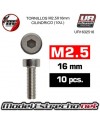 TORNILLOS M2.5x16mm CILINDRICO (10U.) 

Ref: UR1632516