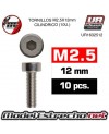 TORNILLOS M2.5x12mm CILINDRICO (10U.)