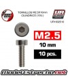 TORNILLOS M2.5x10mm CILINDRICO (10U.)