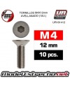 TORNILLOS M4x12mm AVELLANADOS (10U.) 

Ref: UR161412