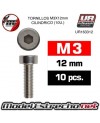 TORNILLOS M3x12mm CILINDRICO (10U.) 

Ref: UR163312