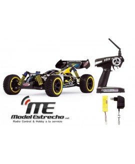 LIGHTRAY V2 EP 1:10 4WD 2,4Ghz