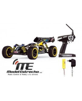 LIGHTRAY V2 EP 1:10 4WD 2,4Ghz