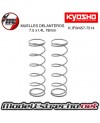 MUELLES KYOSHO DELANTERO GRIS BIG BORE M 7.5x1.4L 78mm

Ref: IFW457-7514