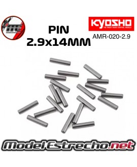 PINES KYOSHO 2.9x14 (20pcs)

Ref: AMR-020-2.9