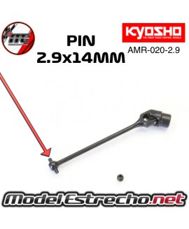 PINES KYOSHO 2.9x14 (20pcs)

Ref: AMR-020-2.9
