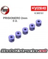 PRISIONERO 2mm (5U.) KYOSHO

Ref: K.W0151
