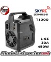 CARGADOR SKYRC T1000 LIPO AC DUO LIPO 1-6s 20A 450W

Ref: SK100182-01