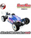 COCHE 1/8 ECO BUGGY XEB SUPER SABRE RTR