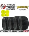 TRIGON PROCIRCUIT TRUGGY CON INSERTO Y LLANTAS COCHE COMPLETO (4U.)