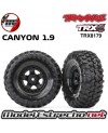 copy of TRAXXAS RUEDAS 2.2 CANYON TRAIL CON FOAM INSERTO (2U.)
