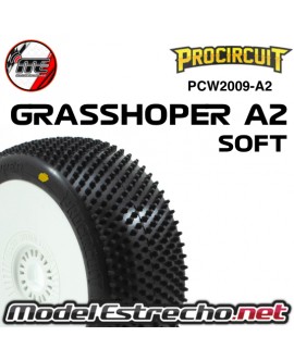 copy of PROCIRCUIT STINGER V4