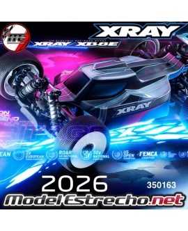 copy of XRAY XB8E`24 1/8 LUXURY ELECTRIC OFF-ROAD CAR KIT
