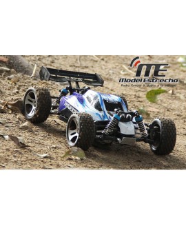 COCHE RTR ELECTRICO 1/18 BUGGY 4WD 2,4Ghz