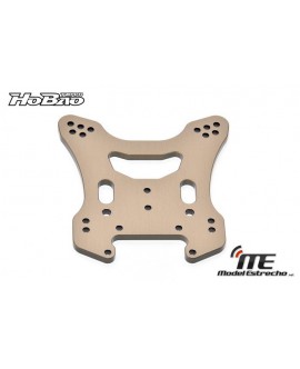 HOBAO MARIPOSA AMORTIGUADOR TRASERO VS NITRO Y ECO