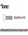 TORNILLOS M4x10mm AVELLANADOS (10U.)