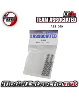 SET HINGE PIN ASSOCIATED RC8B3.1