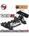 COCHE 1/8 NITRO D819RS OFF ROAD BUGGY KIT