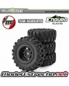 copy of ELEMENT RC ENDURO 24 SENDERO TRAIL TRUCK RTR BLANCO/NEGRO