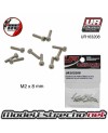 TORNILLOS M2x8mm  (10U.) CILINDRICO Ref: UR163208